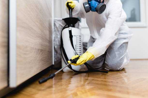 Best Mosquito Control Services  in Leachville, AR