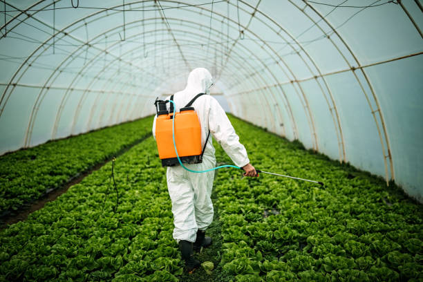 Best Affordable Pest Control Services  in Leachville, AR