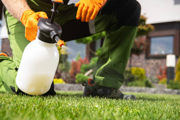 Best Pest Control Near Me in Leachville, AR