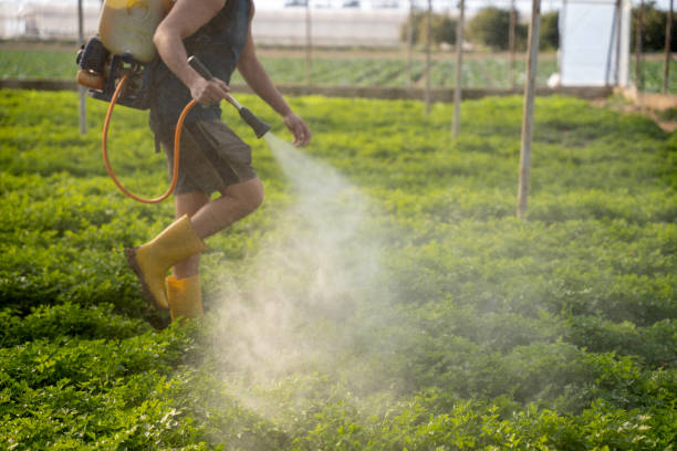 Best Pest Prevention Services  in Leachville, AR
