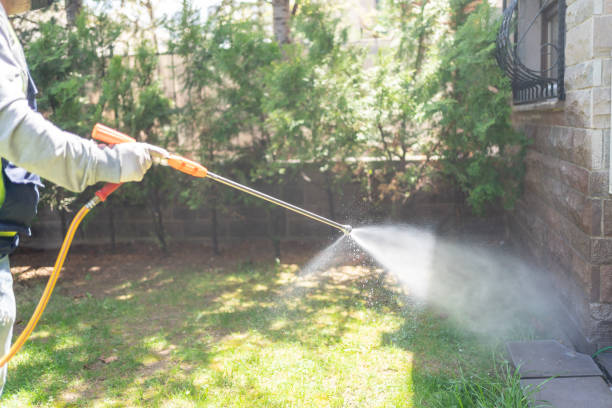Best Emergency Pest Control  in Leachville, AR