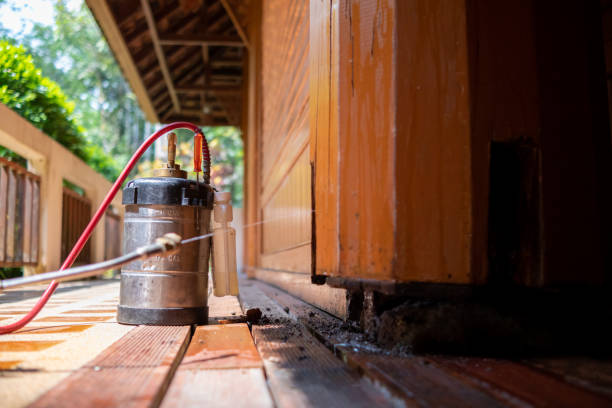 Best Best Pest Control Companies  in Leachville, AR