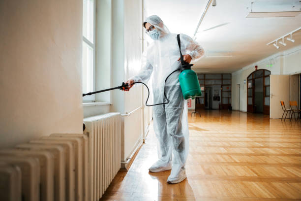 Best Flea Control Services  in Leachville, AR
