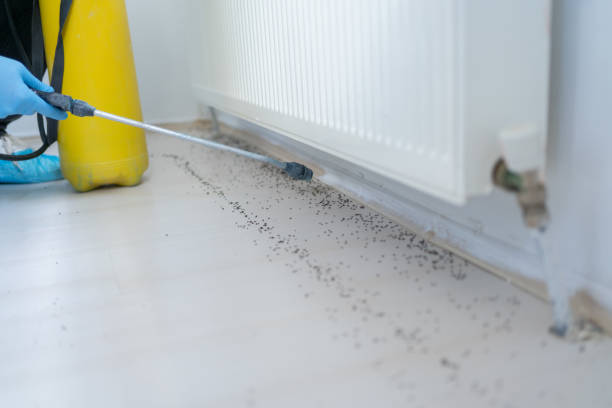 Professional Pest Control in Leachville, AR