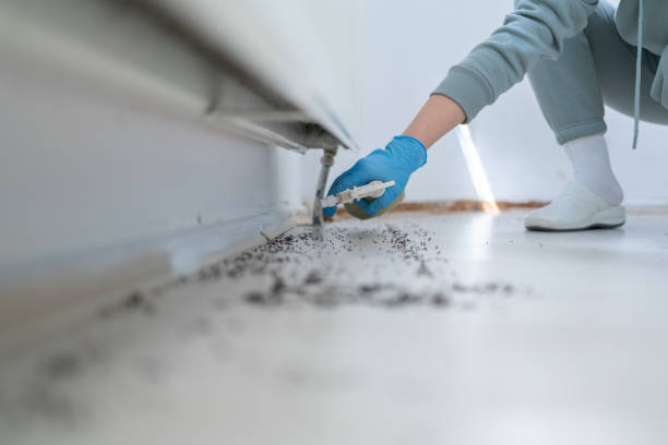 Best Local Pest Control Services  in Leachville, AR